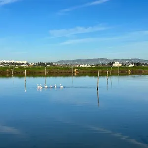 https://herdade-dos-salgados-do-fialho.hotelaalgarve.com
